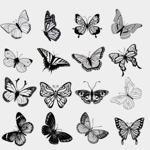 Meet your Posher, Amayra